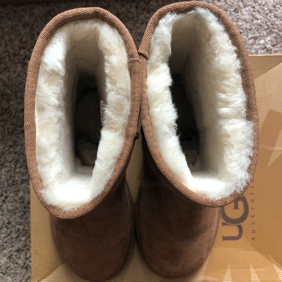 UGG Australia Classic Short Chestnut Boot - Picture 5 of 8